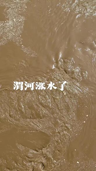 渭河发大水 渭河发大水了#涨水了 #霸河洪水 #母亲河