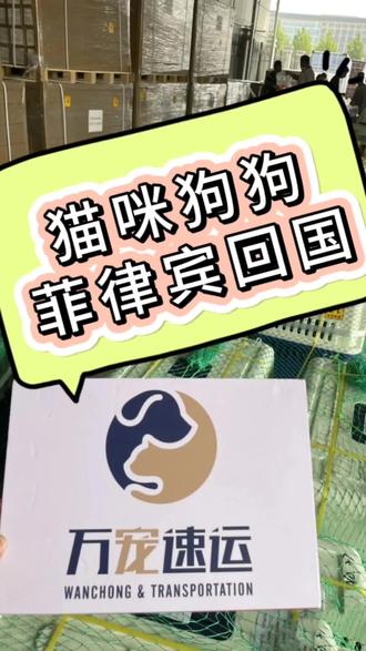 猫咪狗狗如何从菲律宾回国呢?#宠物托运 #国际宠物托运 #宠物回国 #宠物出国 #航空托运