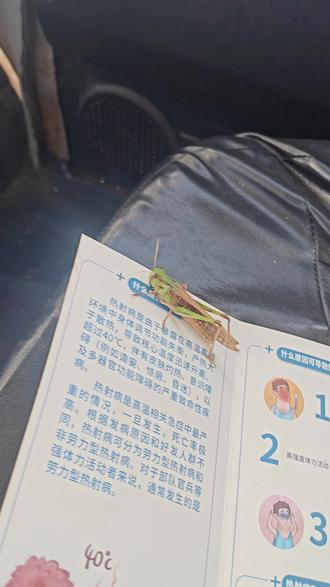 这里是你的缅甸🇲🇲,来了就回不去的地方