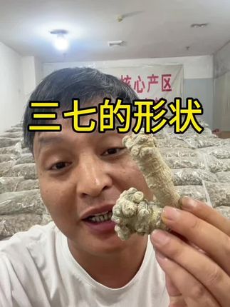 三七长和圆的都是一样的,都有货!