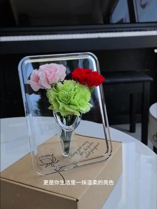 轻奢ins风创意透明相框花瓶 桌面摆件水培插花瓶 女神伴手礼礼物 C