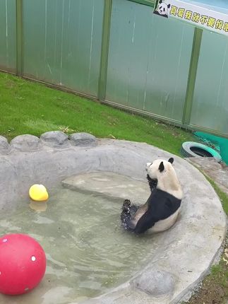 我有不嫌凉,你就别管了😃