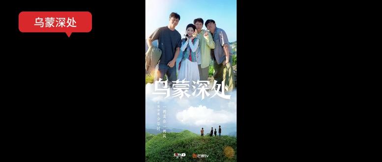 乌蒙谎言:面子、婚姻与绣品危机