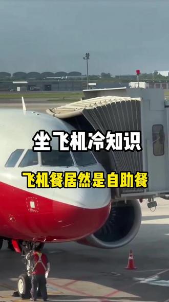 原来飞机上的餐食,是自助餐,可以无限续#机票怎么买最便宜 #特价机票购买攻略 #第一次坐飞机 #机票省钱攻略