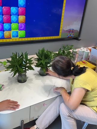 放家里又好看,主要是蛮好养#日常生活