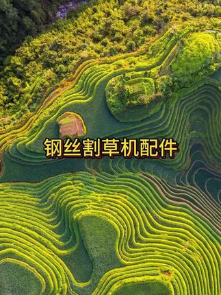 【除草神器】钢丝割草机配件除草轮打草机配件除草工具五金机械配件