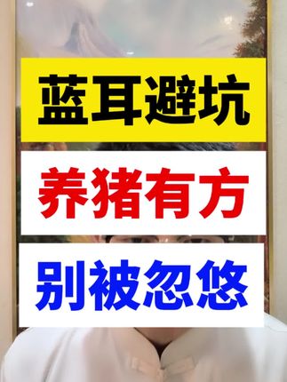 #猪价行情 #蓝耳圆环副猪 #农村养猪 #养猪人加油干 #养猪技术