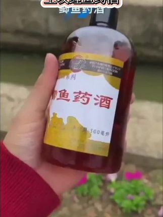 主攻鲤鱼药酒黑坑竞技专用
