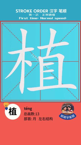 植 -汉字笔顺学习-人教版小学二年级生字 #小学语文#植