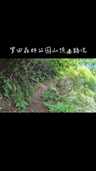 穿越罗田森林公园
山顶🏔️小路路况(1)
#山地车速降 #自然 #我的骑行日常 #深山老林 #林道穿越