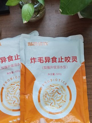 #不养狗不知道养狗的乐趣 #狗狗#新手养狗#科学喂养#养狗人