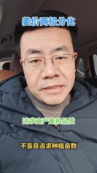 姜价两极分化严重,#优姜莱农业