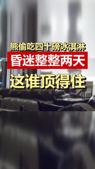 一只熊吃掉了40磅冰淇淋后昏迷了两天 一只熊吃掉了40磅冰淇淋后昏迷了两天