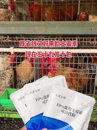 养殖的朋友都在用,土霉素用的好养殖没烦恼。#养殖#养鸡#散养土鸡#科学养鸡#鸡鸭鹅养殖
