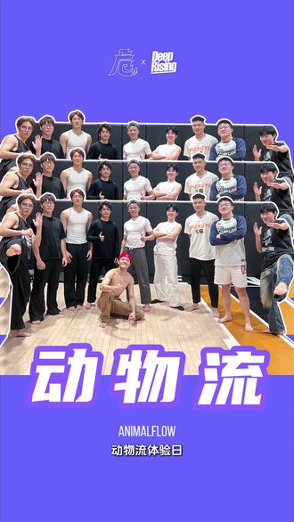 关于动物流是否可以成为运动员的体能补充训练?欢迎评论区探讨👇 我觉得它是一项综合性很强,且高效的训练模式,不同运动项目的人都能通过它获得一些不同且正面的感受。#动物流 #animalflow #功能性训练 #动物流培训 #自律能遇见更好的自己