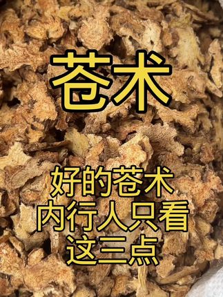 #苍术#仓术 #泡水泡酒 #苍术