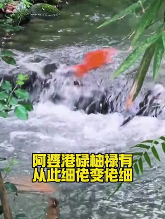 真係冇计啦,直到我搵到呢個碌柚葉噴霧,掂啊!#佑叶香水#碌柚叶喷雾#柚子叶