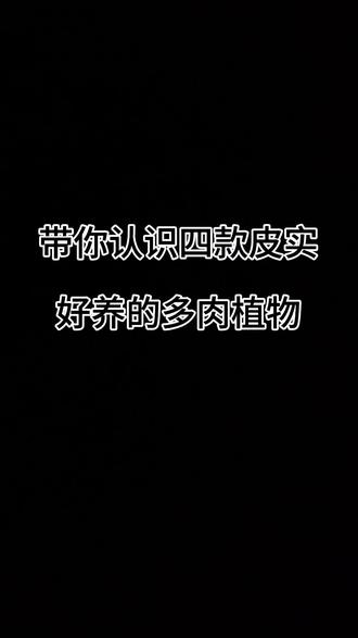 带你认识四款皮实好养的多肉植物#紫乐老桩 #多肉植物