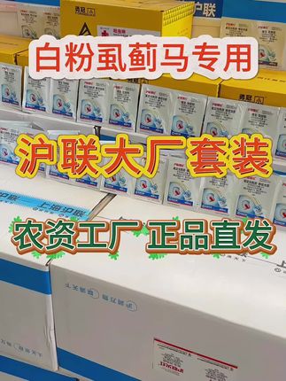 #蓟马#蓟马防治 #白粉虱 #病虫害防治 #源头实力厂家