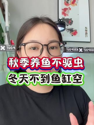 秋季养鱼不驱虫,不到冬天鱼缸空#养鱼人#水族#观赏鱼#分享养鱼经验