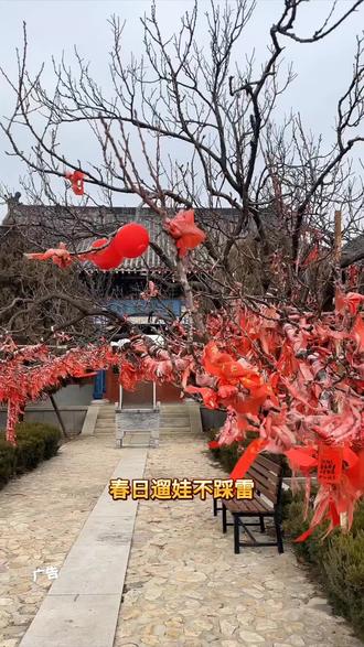莱州大基山森林公园
3.8女神节(3天)的活动,从早9点到晚四点都有演出表演(猴戏、独竹漂@大基山森林公园官方号 #春节出游就到莱州大基山#旅行推荐官#三八妇女节#莱州大基山森林公园