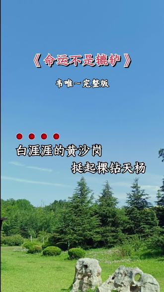 #韦唯#经典老歌怀旧金曲
