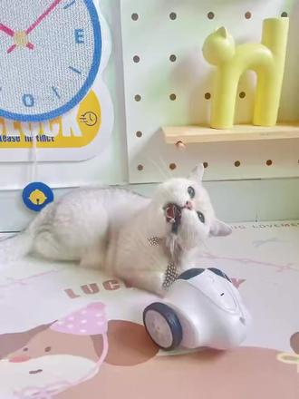 PAPIFEED宠物监控可移动家用网络摄像头视频语音双向对讲陪伴猫狗#宠物监控 #可移动 #网络摄像头 #视频语音 #对讲陪伴