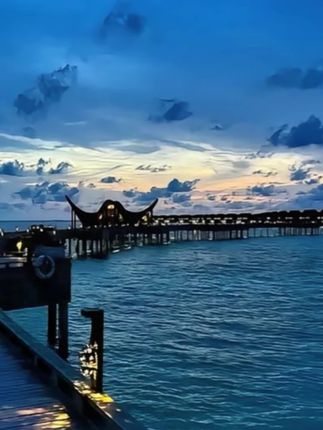 #杜克一哥 #杜克环游世界 #杜克一哥最新路透 #孟加拉一哥 #杜克一哥来中国