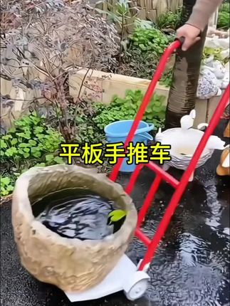 #两轮手推车 #平板手推车 #搬运花盆神器 #园艺工具 @嘉嘉好物