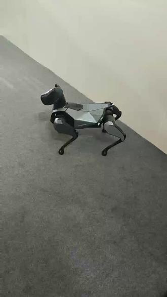 #小米机器狗 cyberdog2,可变色电控皮肤,前空翻,后空翻,小米科技公司,大有可为,大家都还在等小米汽车呢!