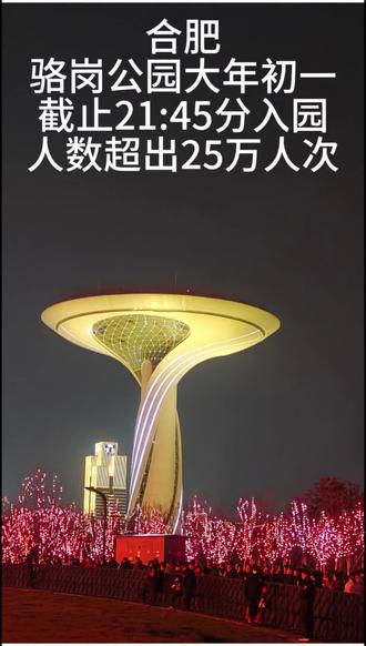 26年大年初一21:45入园人数高达25万人次#合肥 #骆岗公园 #灯光秀