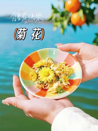 菊花决明子枸杞茶。#图文伙伴计划家人们,快来试试这款蒲公英菊花决明子茶!干净配料表:蒲公英,菊花,决明子,金银花,甘草,牛蒡根,栀子,枸杞,陈皮,桂花每一样都是真材实料,选用独立包装,干净卫生有保证,取一小包开水冲泡五分钟,就可饮 用。可以反复冲泡。每天来一杯,心情美美哒#熬夜必备口感特别好#养生茶#养生健康#今天你喝茶了