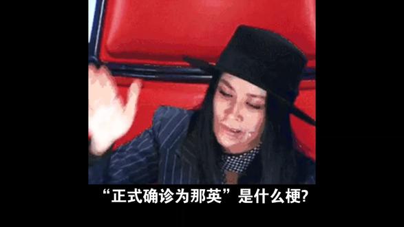 正式确诊为“那英”到底是什么梗?