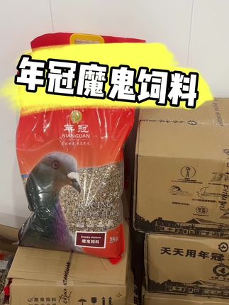 #魔鬼饲料 #魔鬼饲料喂鸽子 #信鸽魔鬼饲料 #年冠魔鬼饲料