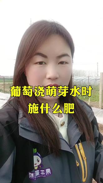 ✅ 正确做法:先浇透萌芽水,
等芽长起来、叶片展开,
再追肥,吸收才高效!
评论区聊聊你的经验~
#葡萄种植 #施肥避坑 #农业技术 #种植经验分享 #萌芽水 #