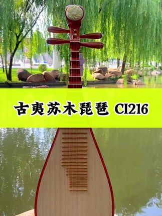 CI216 古夷苏木琵琶,考级艺考性价比高 H920#琵琶 #琵琶推荐 #语弹乐器 #琵琶厂家 #乐器推荐
