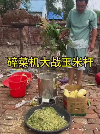 鸡鸭鹅喂养碎菜机,大电机动力强劲,插电就用,方便快捷,20斤一分钟搞定#碎菜机 #鸡鸭鹅养殖 #碎菜机厂家 #农用机械