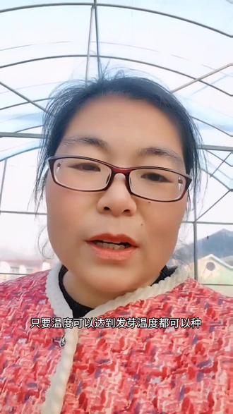 这段时间零下十七八度,冷棚内的山苜楂种子却依然发了芽,可见是多么耐寒#农业种植 #野菜 #山苜楂 #新农人计划