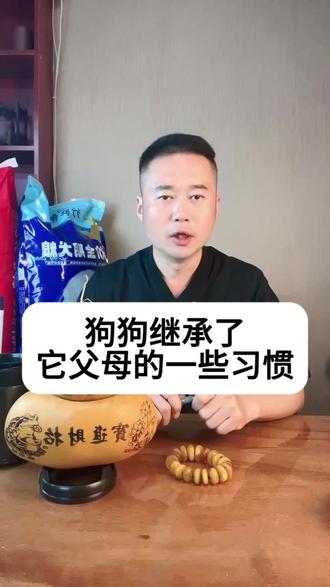 狗狗继承了它父母的一些习惯#养狗经分享 #科学养宠攻略 #新手养狗#狗狗