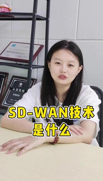SD-WAN是什么#网工 #网络 #IT#华为认证 #SDWAN