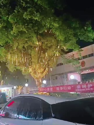 #台风 烟花灿烂流星雨更灿烂#亮化工程 #装饰灯 #小夜灯 #庭院装饰灯