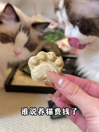 贪玩喵新品🐾猫爪冻干,个位数就能到手10包,鸡肉➕羊奶,酥脆磨牙,奶香四溢~#养猫新手 #养猫好物 #猫咪冻干零食推荐 #贪玩喵