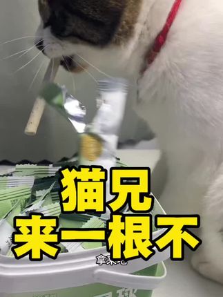 #宠物吃货 #吃货猫 #馋猫宝宝 #萌宠推荐官 #家有萌宠