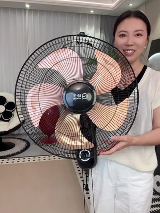 #大功率壁挂风扇 #扬子循环扇电风扇 #壁挂风扇 #大风力风扇