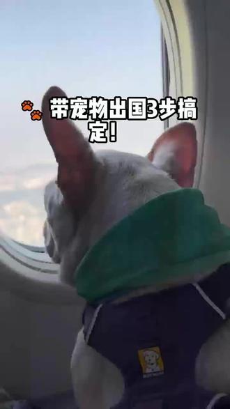 带宠物出国必看 #国际宠物托运 #宠物托运全攻略 #动物世界 国际宠物托运心出境你需要知道的事。需要准备的材料
带毛孩子出境的话需要注意以下(图片中写错入境了,是出境)
①准备一本护照,可以携带多只宠物出境(国际)②提前一个月给毛孩子在指定医院打好疫苗狂犬、植入芯片(根据目的地国家需求来)③出发前一个星期左右到指定宠物医院做体检,需带的材收起料有护照、飞机行程单、以及上次拿到的疫苗本,④出发前三个工作日左右带着体检的回执和护照去取一式三份的证明
⑤准备好毛孩子家长自己的有效期内的身份证⑥具有动物诊疗许可资质的宠物医院的盖章及执业签名用以证明毛孩子在计划入境前24-120小时内已乡防多房棘球涤虫治疗的材料。
(二)出境注意事项
①每个国家入境要求都不一样,具体还是需要去了解入境国家的政策,是否需要血情报告、狂犬疫苗以及芯片等。这些一定要询问清楚。
②带上护照、毛孩子的免疫本免疫证及体检报告去海关办公室
②带上护照、毛孩子的免疫本免疫证及体检报告去海关办
③要给入境国家写邮件申请入境,这一步比较复杂,需要的资料比较少,每个国家政策不同,最好找当地人帮忙查询(例:泰国)④网上买好一个航空箱、有的航司可以带进客舱,有的只能有氧舱,具体以航司机型是否有有氧舱或能否带进。