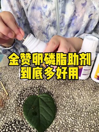 金赞卵磷脂助剂到底有多好用#农业种植 #三农 #种植小技巧 #服务三农 #卵磷脂