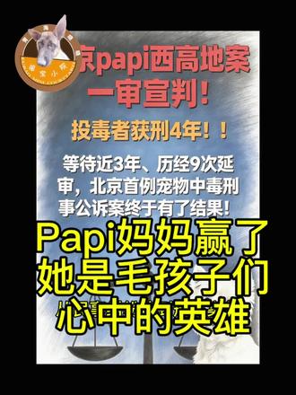 看papi妈妈为毛孩子打了三年官司,从“民事纠纷”追到刑事案件,心里翻涌着说不出的滋味。她不是在纠缠,是在替那些不会说话的小生命,争一个“活着不该被随意伤害”的道理。#狗狗 #猫咪#西高地 @西高地Papi妈妈(倒计时版)