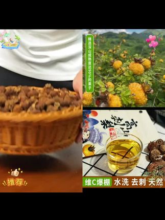 贵州大山里的宝贝你曾认得?它可是维C💣# 你的