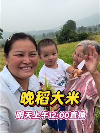 江西晚稻大米正式上线了,娜娜带上小二拉和爷爷奶奶一起,给老铁们分享好吃的江西大米,明天上午12:00准时锁定直播间,不见不散哦。#原创视频  #稻子黄了 #我的乡村生活  #丰收的季节 #我的农村生活日常