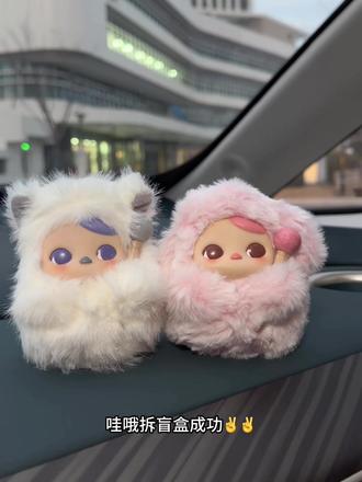 #泡泡玛特 #毕奇敲敲 许愿成功 成功一半 ✌️